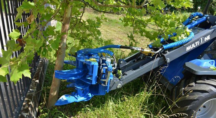 Tree Shear